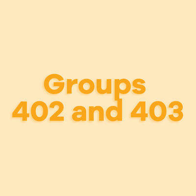Image Groups 402 and 403